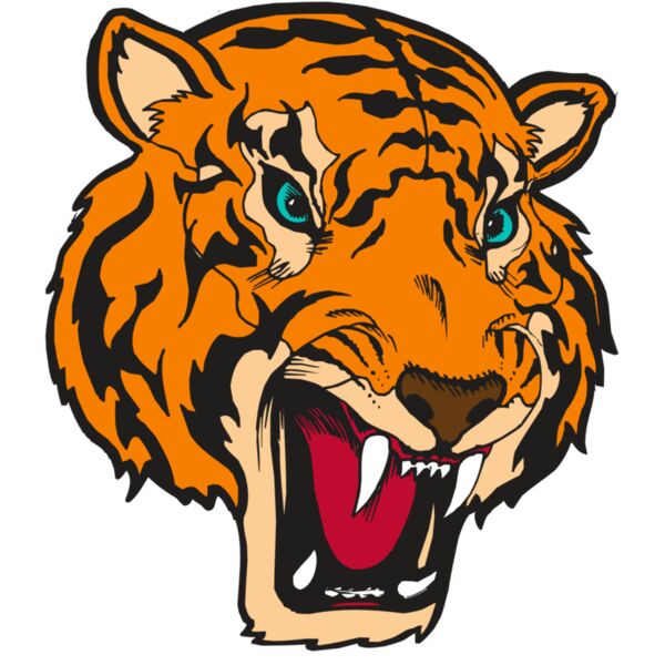 BAW TIGER 12 RC Thumbnail